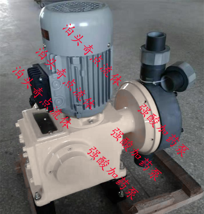 強(qiáng)酸加藥泵