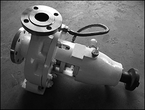 �Ӊ���������