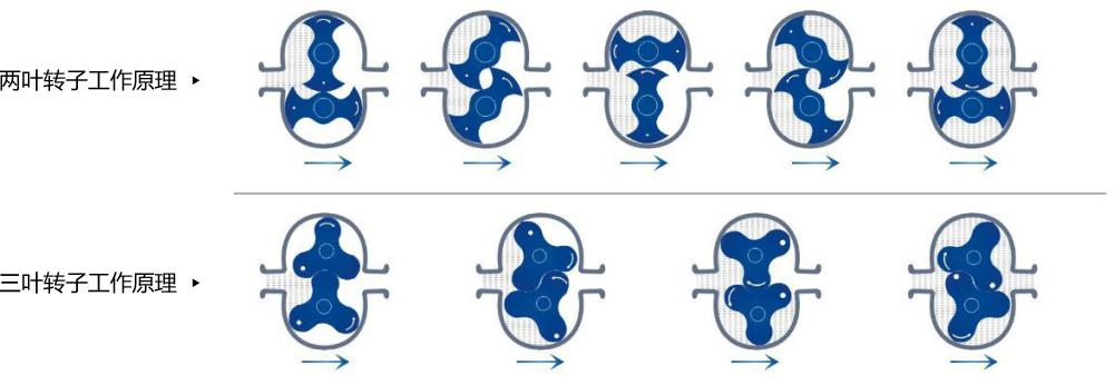 �w�S���w�S�{���\��ԭ��ʾ��D